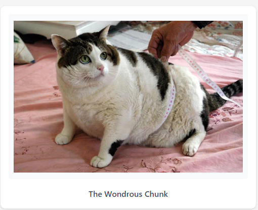 fat cats tribute page